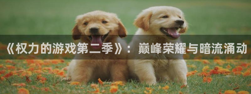 杏宇平台登陆入口地址