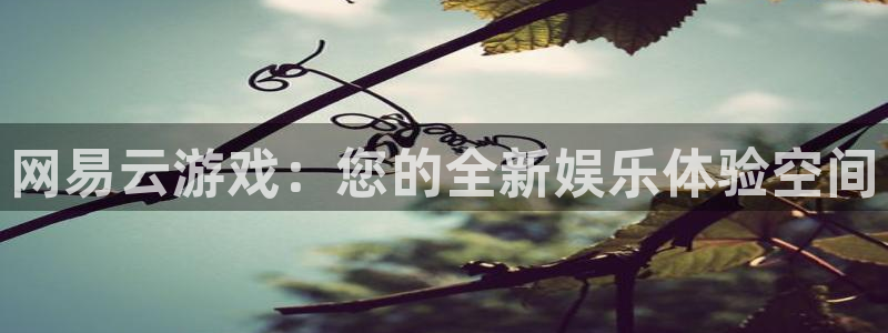 杏宇平台登录官网：网易云游戏：您的全新娱乐体验空间