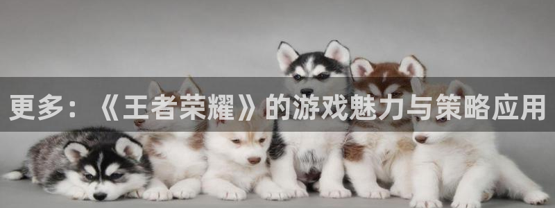 杏宇娱乐平台最新版下载安装手机：更多：《王者荣耀》的游戏魅力