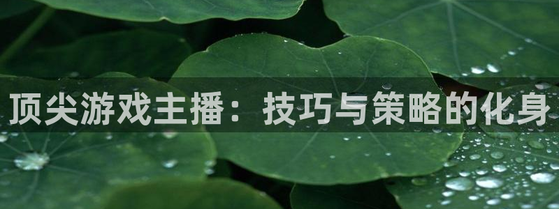杏宇平台登陆：顶尖游戏主播：技巧与策略的化身