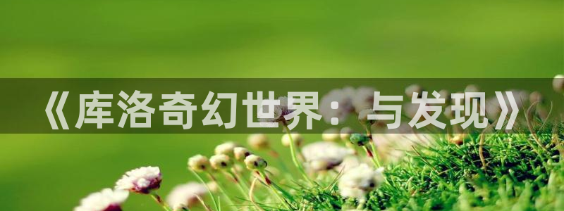杏宇娱乐平台最新版下载：《库洛奇幻世界：与发现》