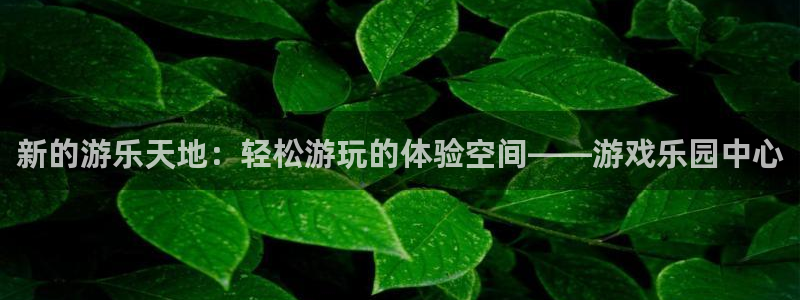 杏宇平台登陆入口：新的游乐天地：轻松游玩的体验空间——游戏乐